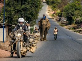 helebiker-outcult-preview